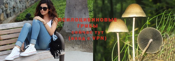 ECSTASY Волоколамск